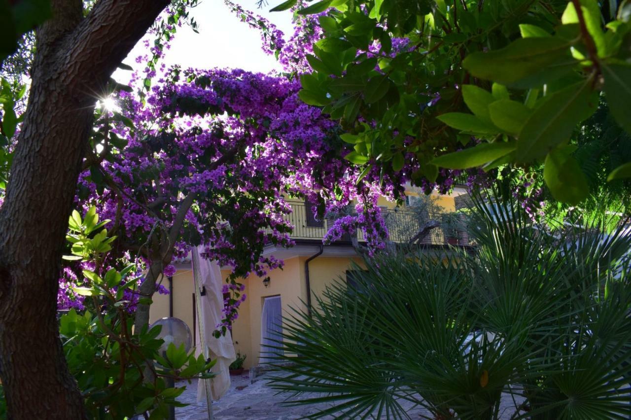 Agriturismo Il Marchese Aquara Exterior photo